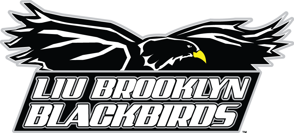 LIU-Brooklyn Blackbirds 2008-Pres Primary Logo diy iron on heat transfer